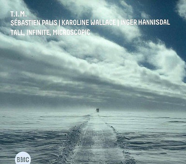 【ジャズ】Tall, Infinite, Microscopic（T.I.M.）