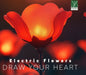 【ジャズ】ドロー・ユア・ハート（エレクトリック・フラワーズ）