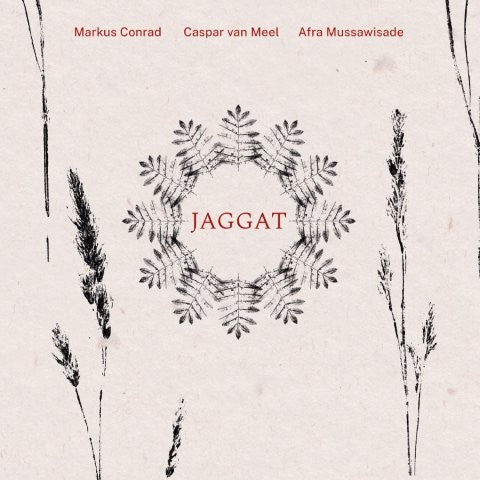 【ジャズ】JAGGAT（コンラート、ファン・メール、ムサヴィザデ）