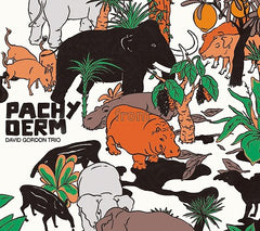 【ジャズ】デヴィッド・ゴードン・トリオ／パキダーム  David Gordon Trio / Pachyderm