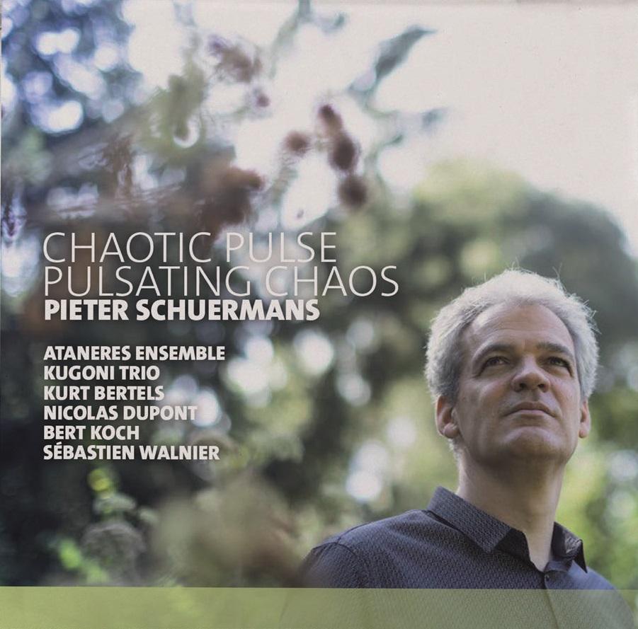 ピーテル・シュールマンス：作品集